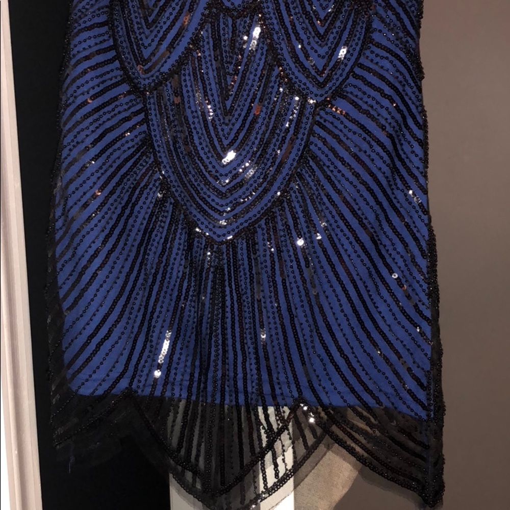Flapper Dress - Picture 4 of 7